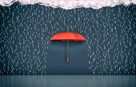 Understanding the Importance of a Rainy Day Fund in Personal Finance